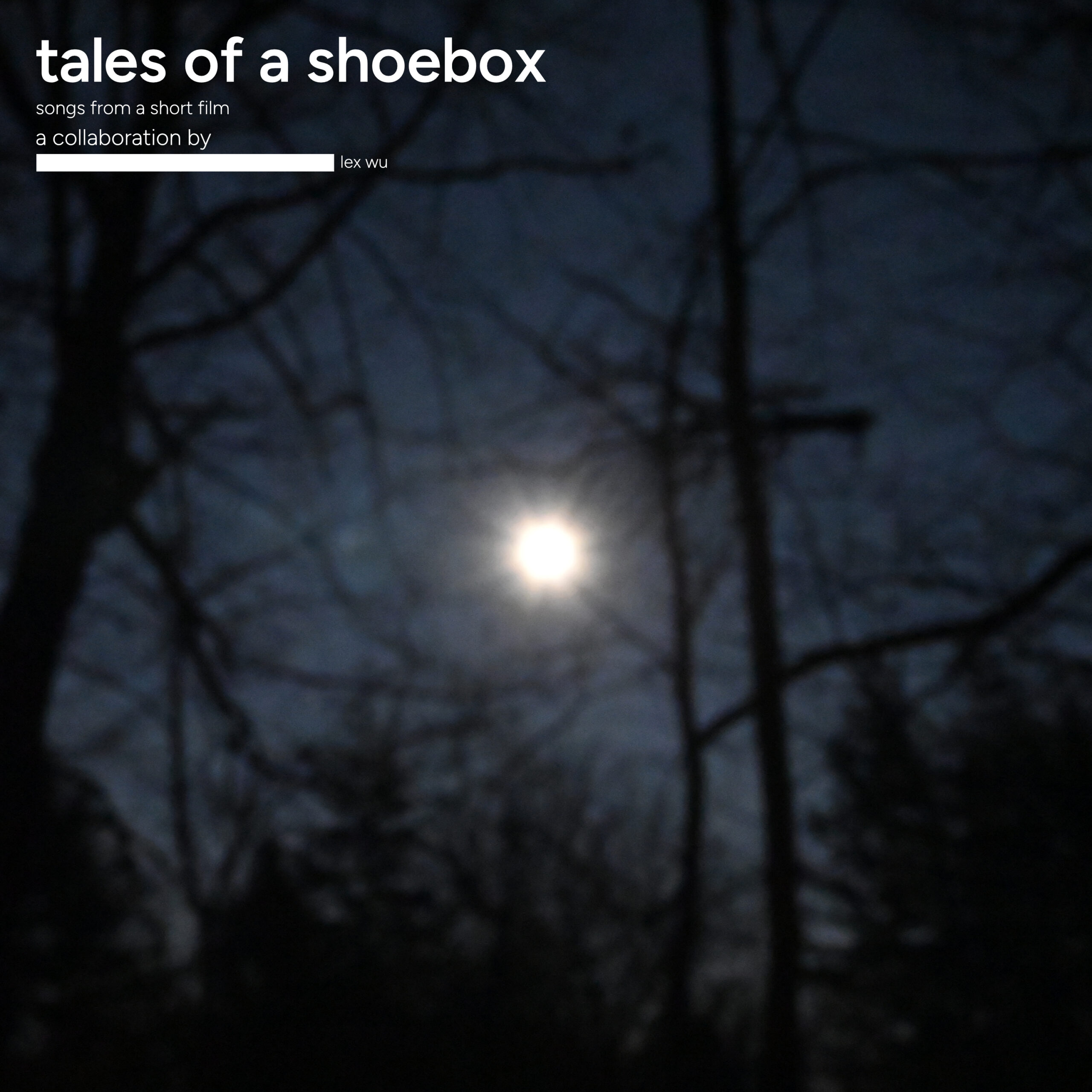 Tales of a Shoebox